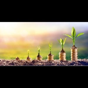 Meet your Posher, Reyes